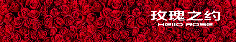 标准品牌页脚 800长度.jpg